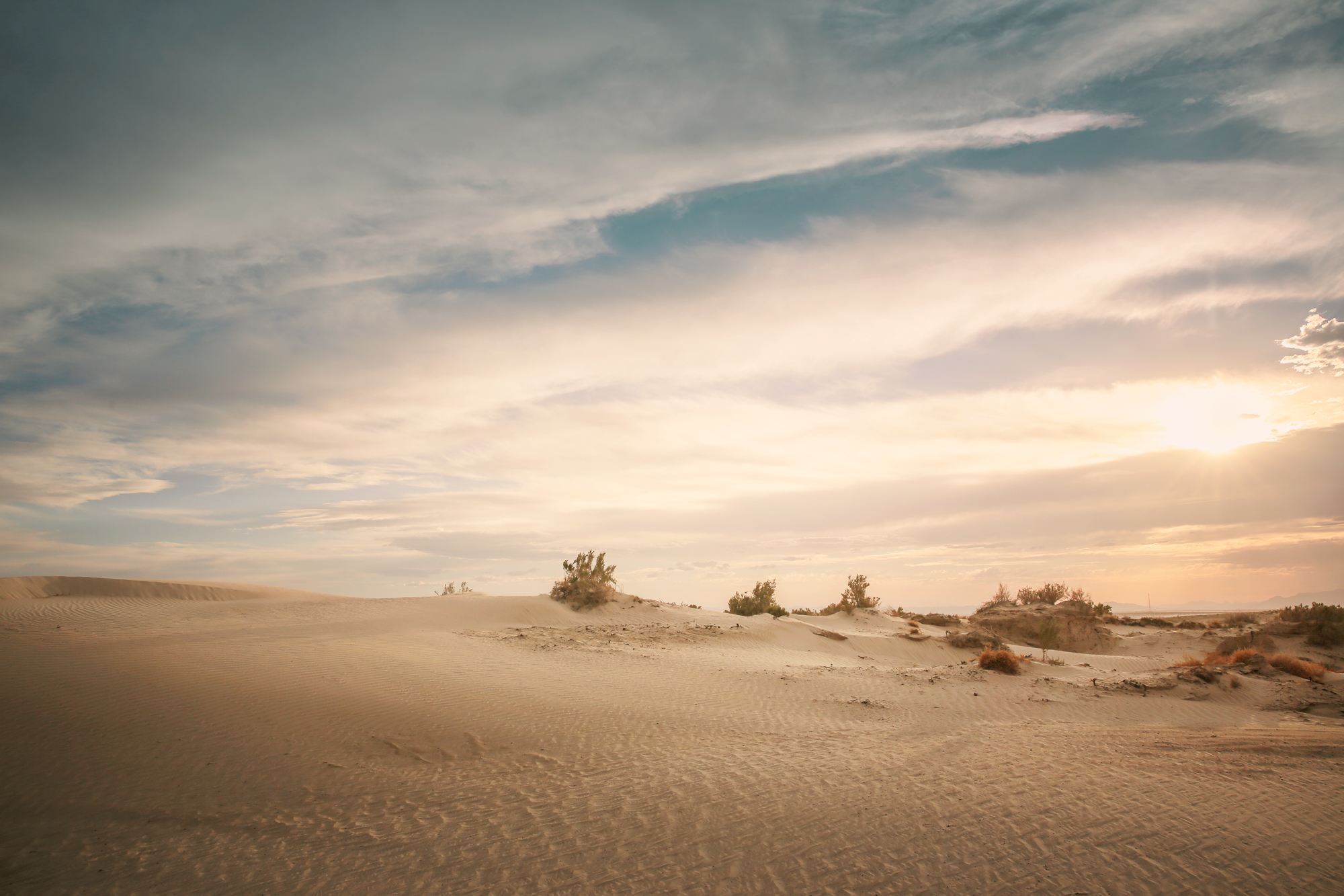 Desert Landscap | Skylar Nielsen